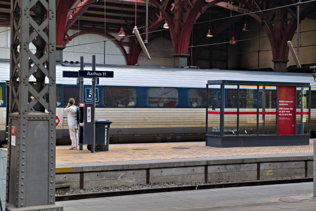 Ein Zug fährt auf einem Bahnsteig ein, neben dem eine Person steht, mit einem Müllcontainer, Pfosten, Informationsanzeigen und Deckenleuchten.