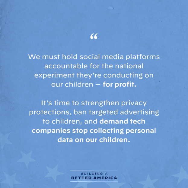 Plakat mit einem Zitat aus Building a Better America, das besagt, "Wir müssen die sozialen Medien-Plattformen für das nationale Experiment zur Rechenschaft ziehen, das sie an unseren Kindern durchführen - zum Profit.", dekoriert mit Sternen.