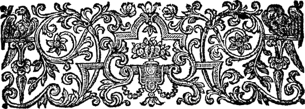 Schwarz-weißes, prunkvolles 16. Jahrhundert Blumenmuster-Design mit detaillierten Mustern.