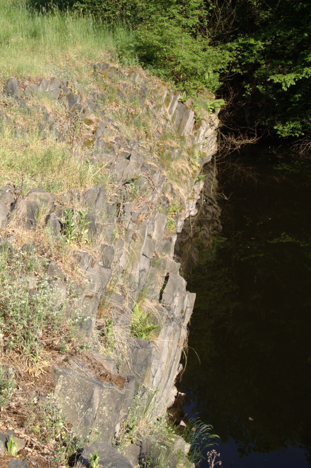 Ein klarer, stiller Bach spiegelt umliegende Bäume und saftiges Grün am Ufer eines Flusses.