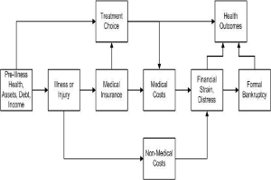 Flussdiagramm, das die Arten von medizinischen Kosten veranschaulicht, die mit Vorerkrankungen, Gesundheit und Gesundheit verbunden sind, mit verbundenen und beschrifteten K├Ąsten, die Schritte und Interaktionen zeigen.