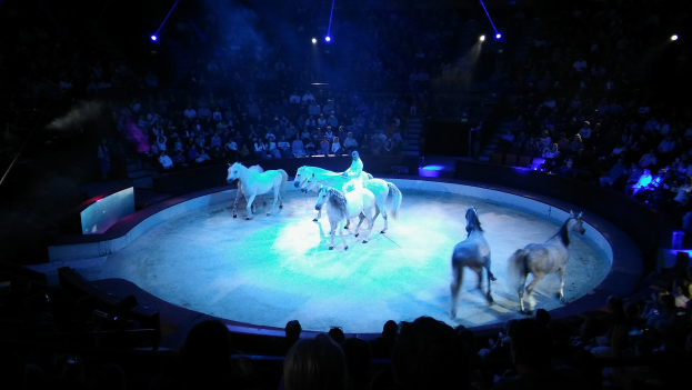 Eine Gruppe von Menschen reitet auf einer Bühne, beleuchtet von Scheinwerfern, während das Publikum von ihren Sitzen aus zusieht.