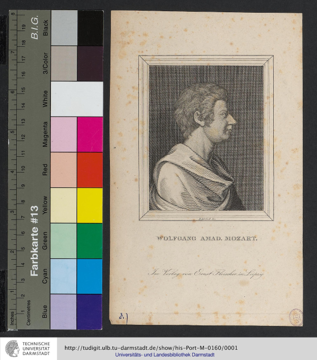 Porträt von Wolfgang Amadeus Mozart mit ernster, nachdenklicher Miene, dunklem kurzen Haar und direktem Blick auf den Betrachter.