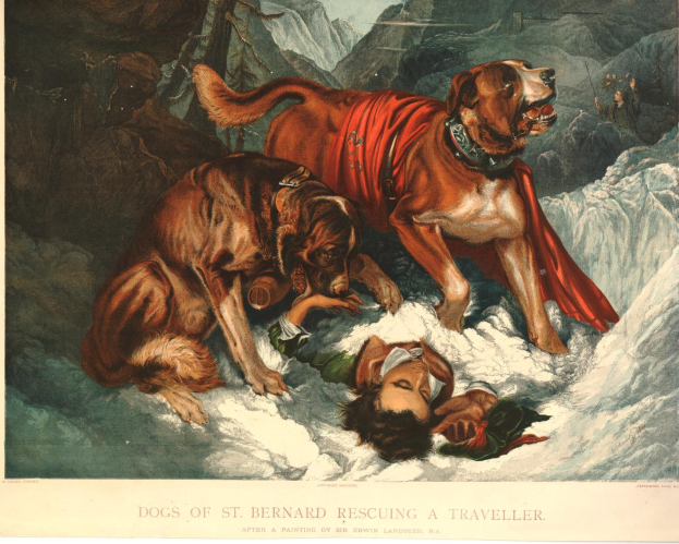 Zwei Bernhardiner-Hunde stehen neben einer Person im Schnee, mit Bergen im Hintergrund und Text unten.