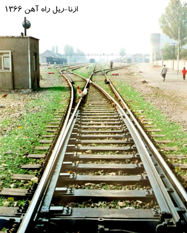 Ein Vogel sitzt auf einem Bahngleis umgeben von Gras und Steinen, mit Menschen in der Nähe, Bäumen, Pfählen, Gebäuden und Himmel im Hintergrund und Text oben.